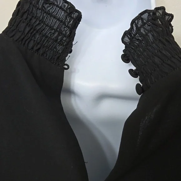 Lucy Paris Sheer Blouse - Picture 5 of 7